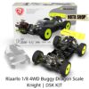Rlaarlo DSK bản KIT Xe Đua Điều Khiển Tỉ Lệ 1/8 Dragon Scale Knight 4WD Buggy - Hata Shop Đồ Chơi